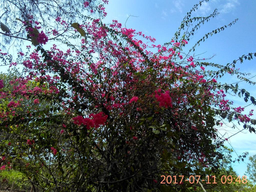 אורוויל Purity Guest House מראה חיצוני תמונה